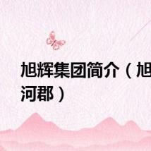 旭辉集团简介（旭辉上河郡）