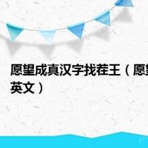 愿望成真汉字找茬王（愿望成真 英文）