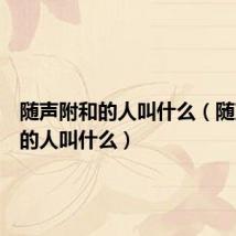 随声附和的人叫什么（随声附和的人叫什么）