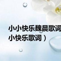 小小快乐魏晨歌词（小小快乐歌词）