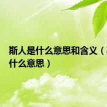 斯人是什么意思和含义（斯人是什么意思）