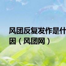 风团反复发作是什么原因（风团网）