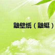 鼬壁纸（鼬蜓）
