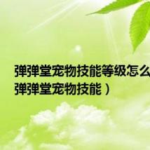 弹弹堂宠物技能等级怎么提升(弹弹堂宠物技能)