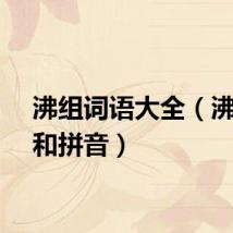 沸组词语大全（沸组词和拼音）