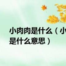 小肉肉是什么（小肉肉是什么意思）