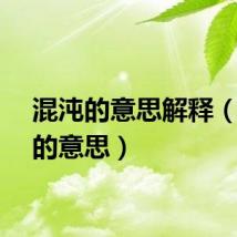 混沌的意思解释（混沌的意思）