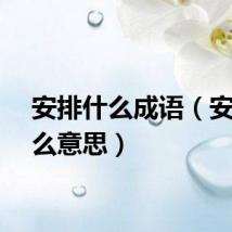 安排什么成语（安排什么意思）