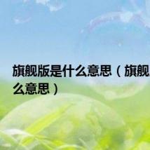旗舰版是什么意思（旗舰版是什么意思）