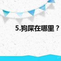 5.狗屎在哪里？