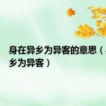 身在异乡为异客的意思(身在异乡为异客)
