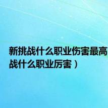 新挑战什么职业伤害最高(新挑战什么职业厉害)