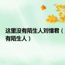 这里没有陌生人刘惜君(这里没有陌生人)