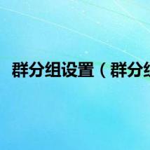 群分组设置（群分组）