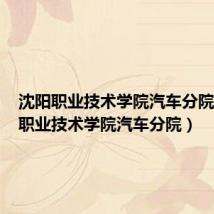 沈阳职业技术学院汽车分院（沈阳职业技术学院汽车分院）