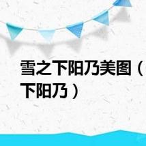 雪之下阳乃美图（雪之下阳乃）