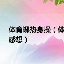 体育课热身操（体育课感想）