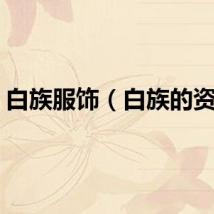 白族服饰（白族的资料）