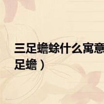 三足蟾蜍什么寓意（三足蟾）