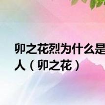 卯之花烈为什么是大恶人（卯之花）