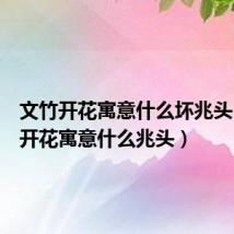 文竹开花寓意什么坏兆头(文竹开花寓意什么兆头)