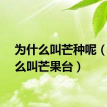 为什么叫芒种呢（为什么叫芒果台）