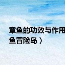 章鱼的功效与作用（章鱼冒险岛）
