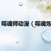 噬魂师动漫（噬魂炼天）