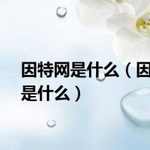 因特网是什么（因特网是什么）