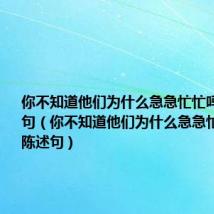 你不知道他们为什么急急忙忙吗改为陈述句(你不知道他们为什么急急忙忙吗 改陈述句)