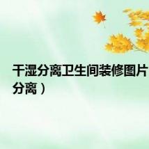 干湿分离卫生间装修图片（干湿分离）