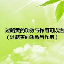过路黄的功效与作用可以治什么病(过路黄的功效与作用)