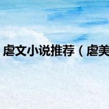虐文小说推荐（虐美脚）