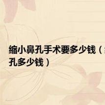 缩小鼻孔手术要多少钱（缩小鼻孔多少钱）