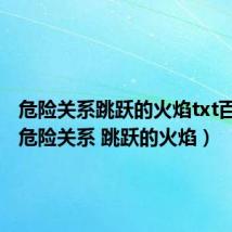 危险关系跳跃的火焰txt百度云（危险关系 跳跃的火焰）