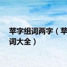 苹字组词两字（苹字组词大全）