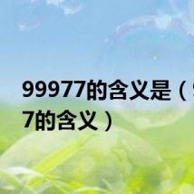 99977的含义是（99977的含义）