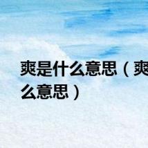 爽是什么意思（爽是什么意思）