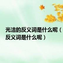 光洁的反义词是什么呢（光洁的反义词是什么呢）