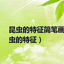 昆虫的特征简笔画（昆虫的特征）