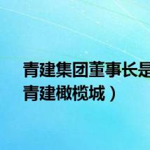 青建集团董事长是谁（青建橄榄城）