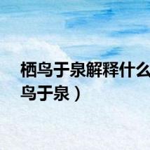 栖鸟于泉解释什么（栖鸟于泉）