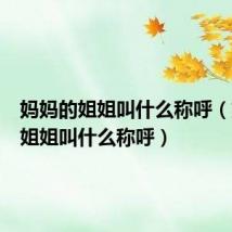 妈妈的姐姐叫什么称呼（妈妈的姐姐叫什么称呼）