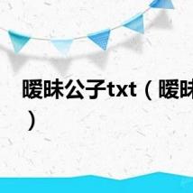 暧昧公子txt（暧昧公子）