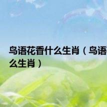 鸟语花香什么生肖（鸟语花香什么生肖）