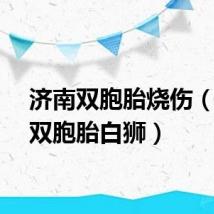济南双胞胎烧伤（济南双胞胎白狮）