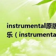 instrumental原版纯音乐（instrumentality）