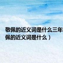 敬佩的近义词是什么三年级（敬佩的近义词是什么）