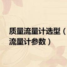 质量流量计选型（质量流量计参数）