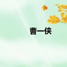 曹一侠